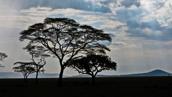 Viaje a Tanzania - Safari Ecoturismo Herencia Africana