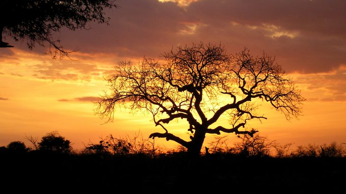 parques nacionales del sur de tanzania